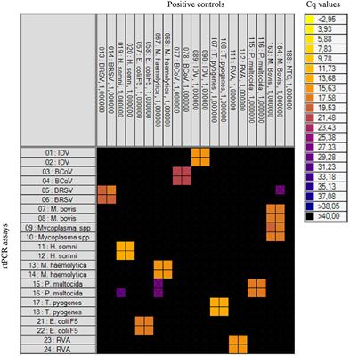 Design of a High-Throughput Real-Time PCR System for Detection of Bovine Respiratory and Enteric Pathogens